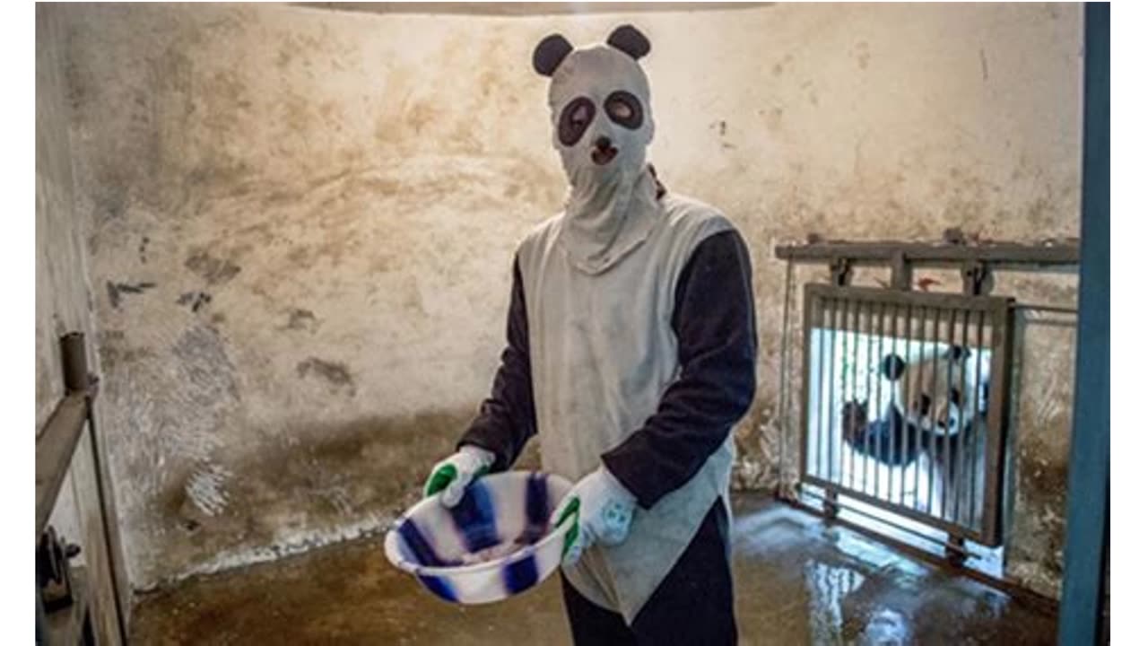Panddapox PSA