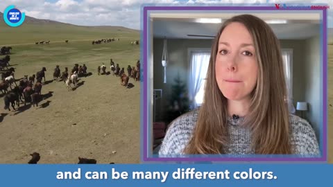 English in a Minute: Dark Horse