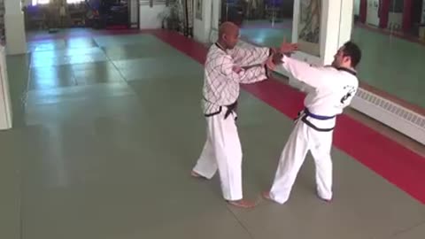 The World Pro Hapkido Federation
