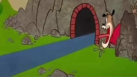 Very funny scene dog is not touch the wall because dog thinking is positive