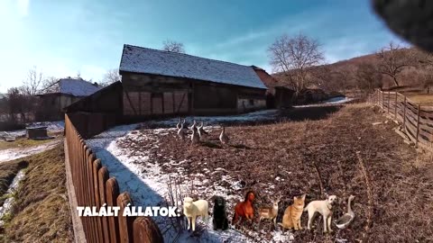 Vajon Csigér Alex hazatalál a téli erdőből étel, pénz és telefon nélkül? | Csigér Alex 🇷🇴