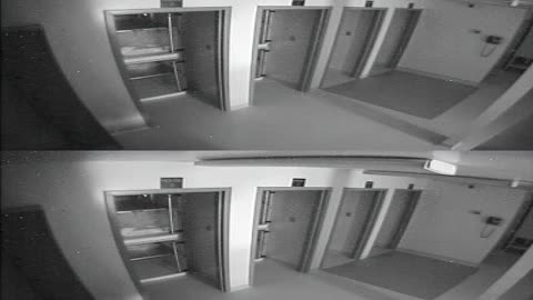 1704CRIB01CribAnalysisArea_2021-01-05_04h20min01s960ms.mp4