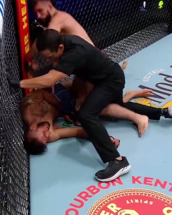 Ufc 295 heart warming