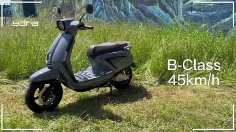Get Your New Luxis Scooter Online Today