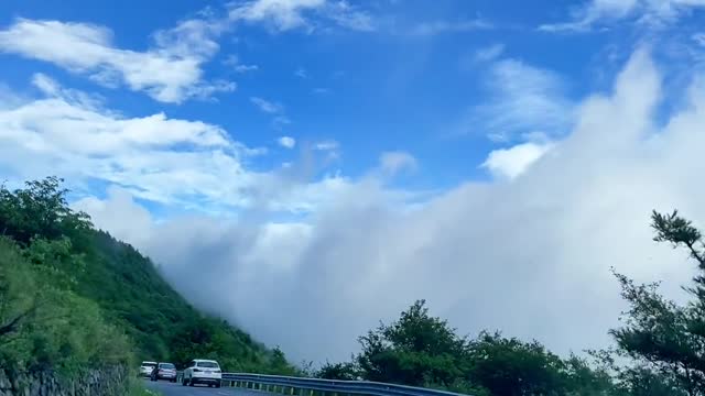 Traveling in the Cloud Recommender Shennongjia The most beautiful scenery is on the way