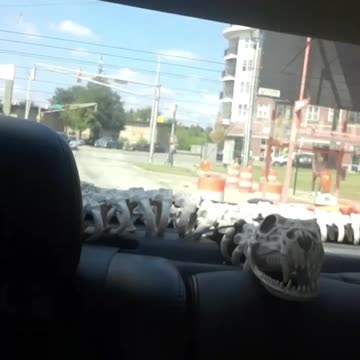 Me and my new friend in my Lyft ride. Our first video selfie.