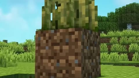 I Became a Grass Block!!!!