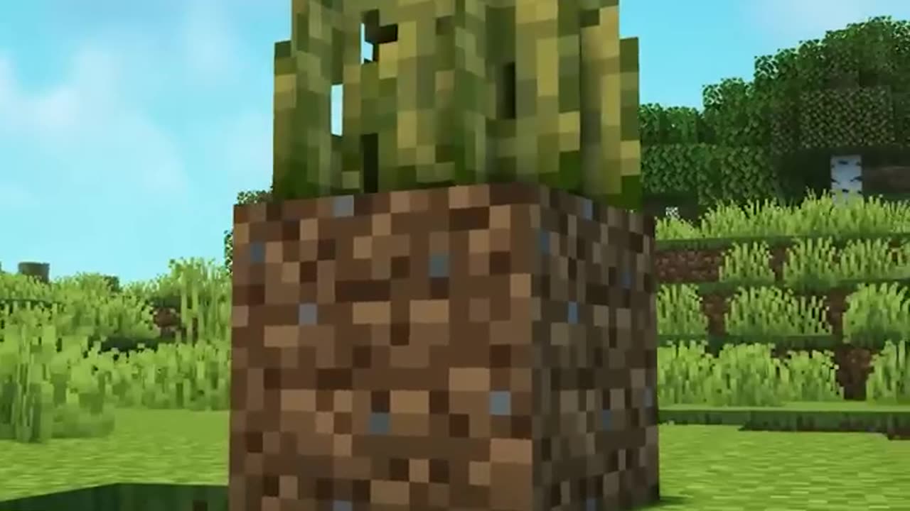 I Became a Grass Block!!!!