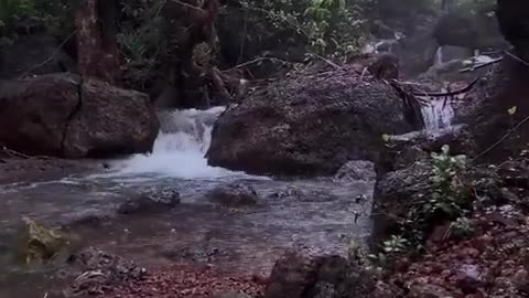 Beauty of Nature