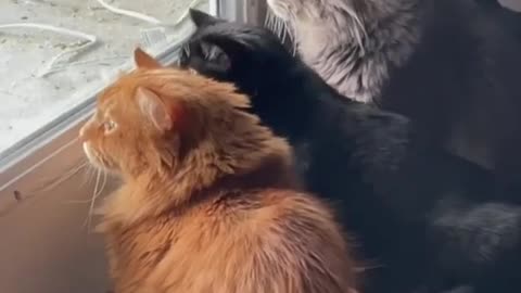 They move in the same way.