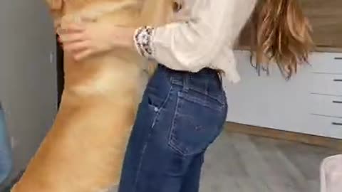 This Is What My Dog Does When I Dance