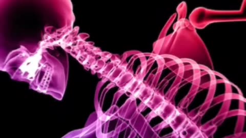 Power of human Bones | unsolved mysteries