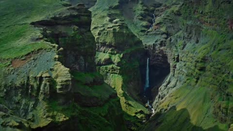 naturel videos