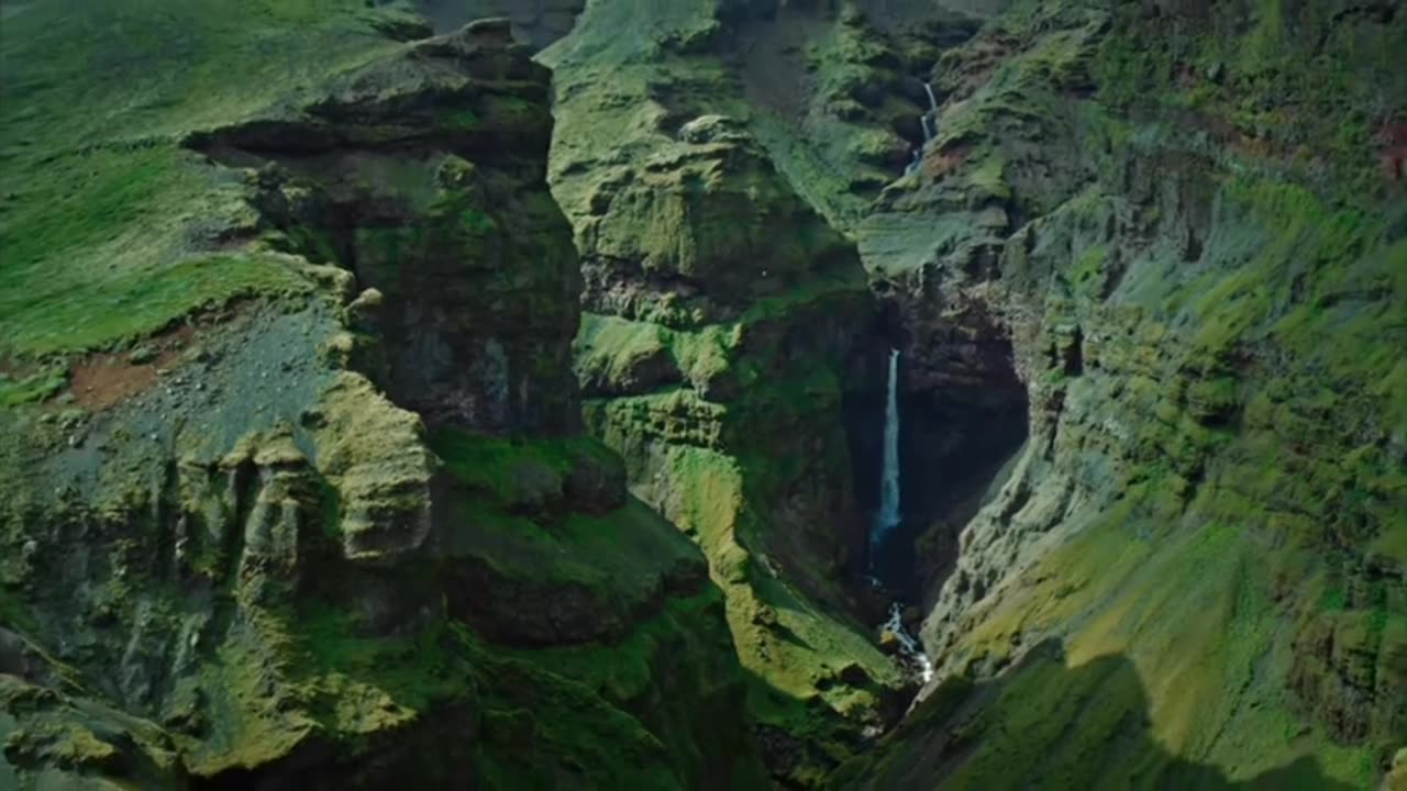 naturel videos