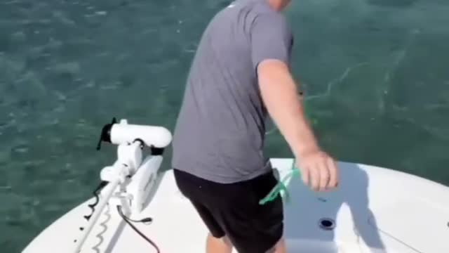 Fish catching video 3