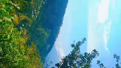 This video was recorded in sundban Azad kashmi