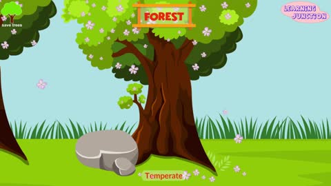 Biomes of the World | Types of Biomes | Video for Kids