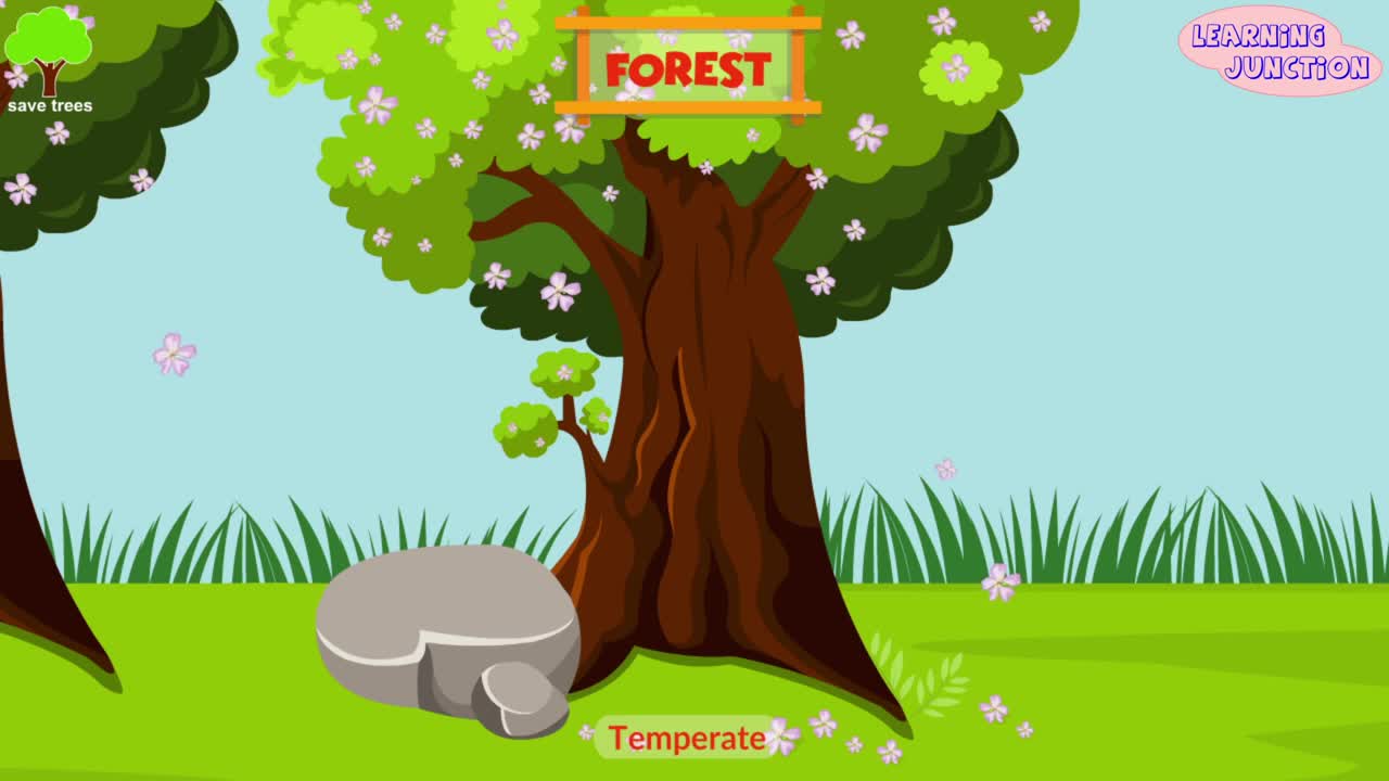Biomes of the World | Types of Biomes | Video for Kids