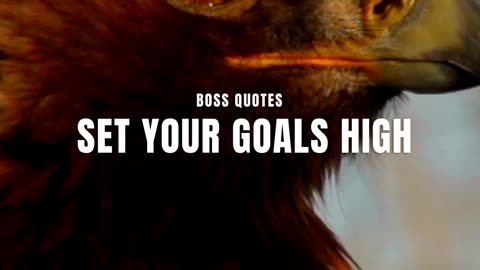 Set your goals high and don't stop till you get there