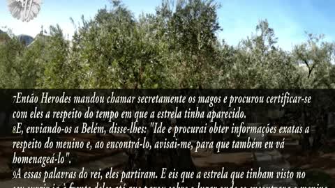 Evangelho Segundo Mateus, Capítulo 2