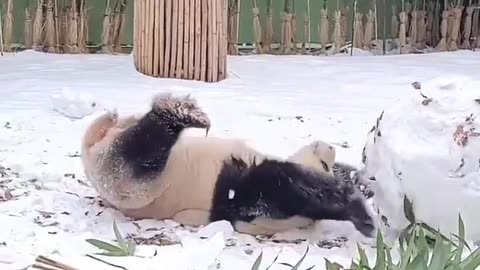 There are different ways to be happy #shorts #shortsvideo #video #viral