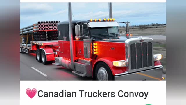 Never Surrender Canadian Trucker Convoy Our Heroes