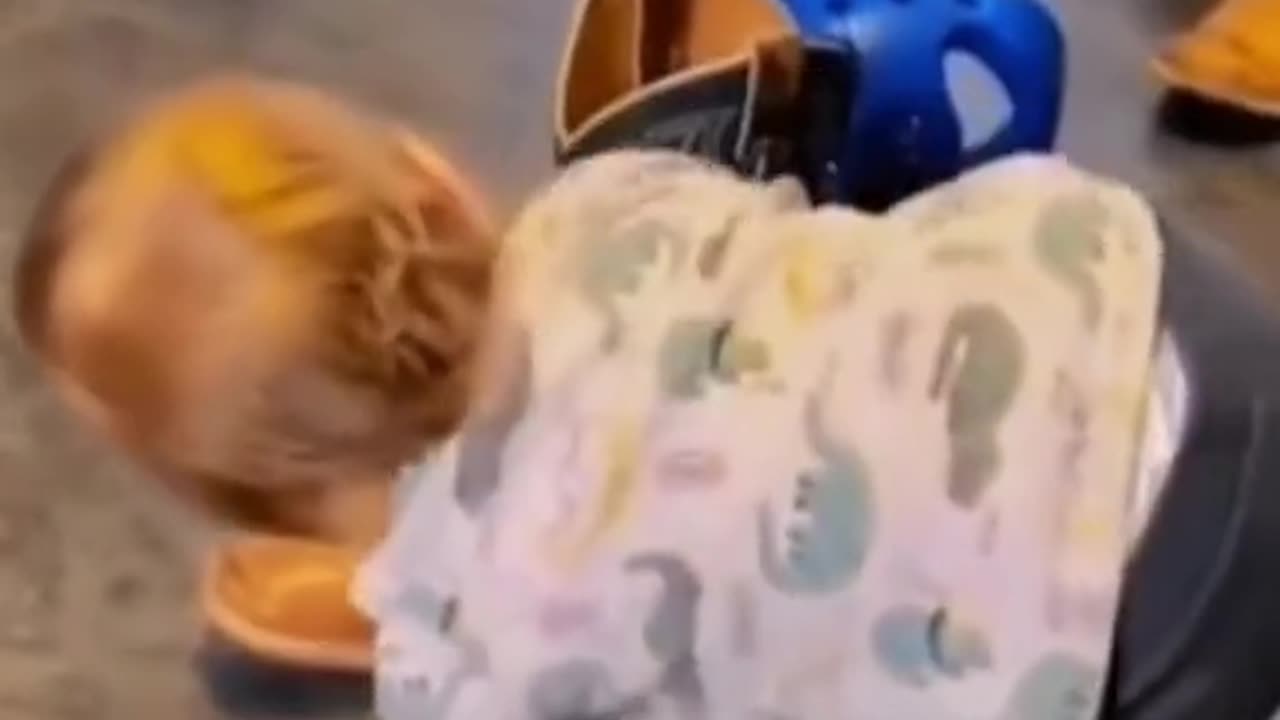 funny baby #funny