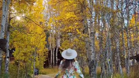 Best place to see fall colors near Lake Tahoe, California