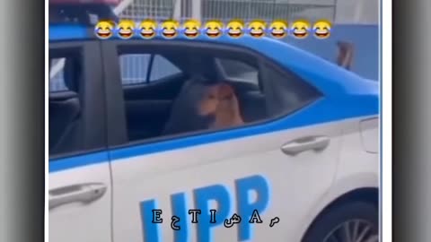 Bro got arrested😂😂😂