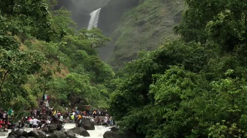 Feel the nature