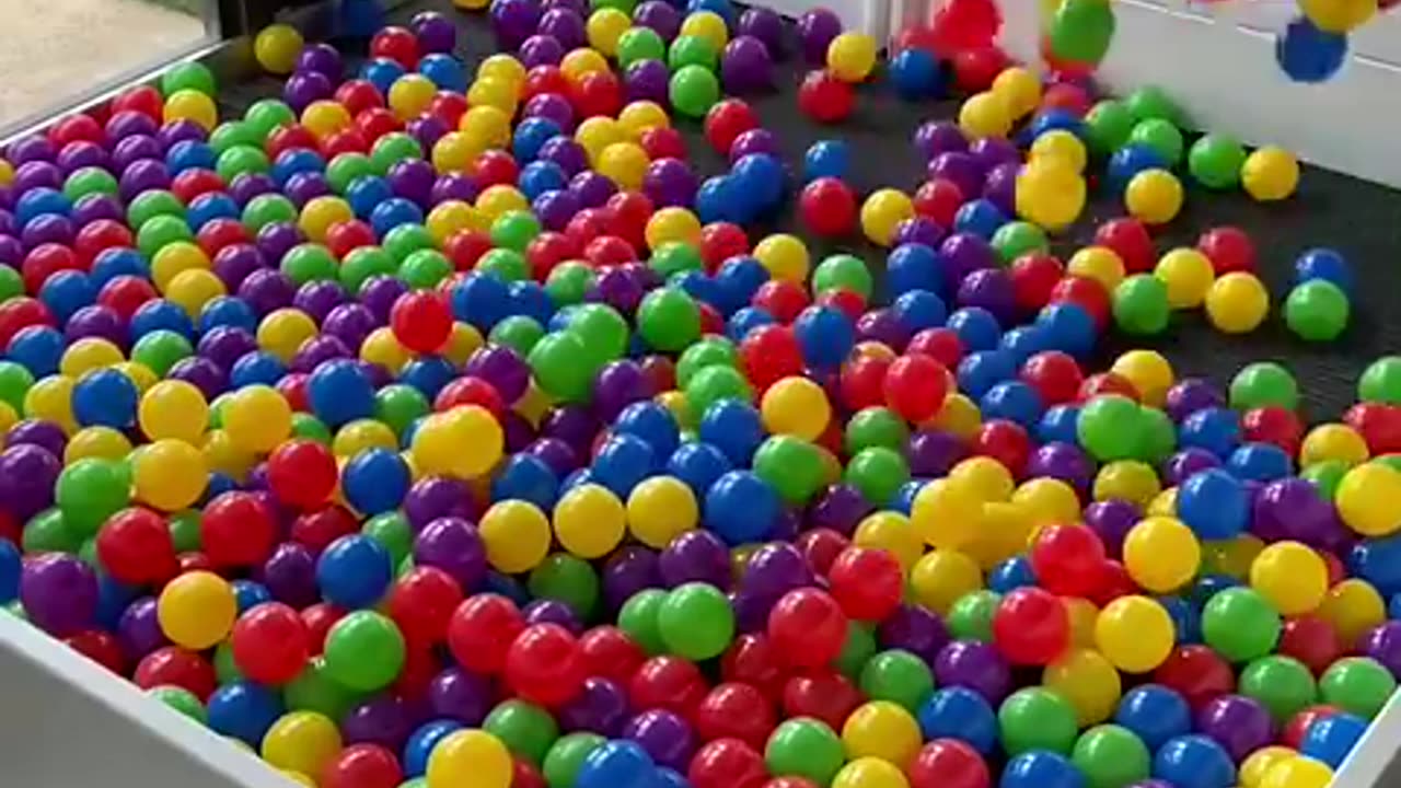 Building a Puppy Ball Pit! #cat #cute #kitten #pets #meow #videos #shorts #dog