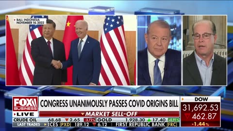 Sen. Mike Braun: Biden's ESG rules are coming after pensions
