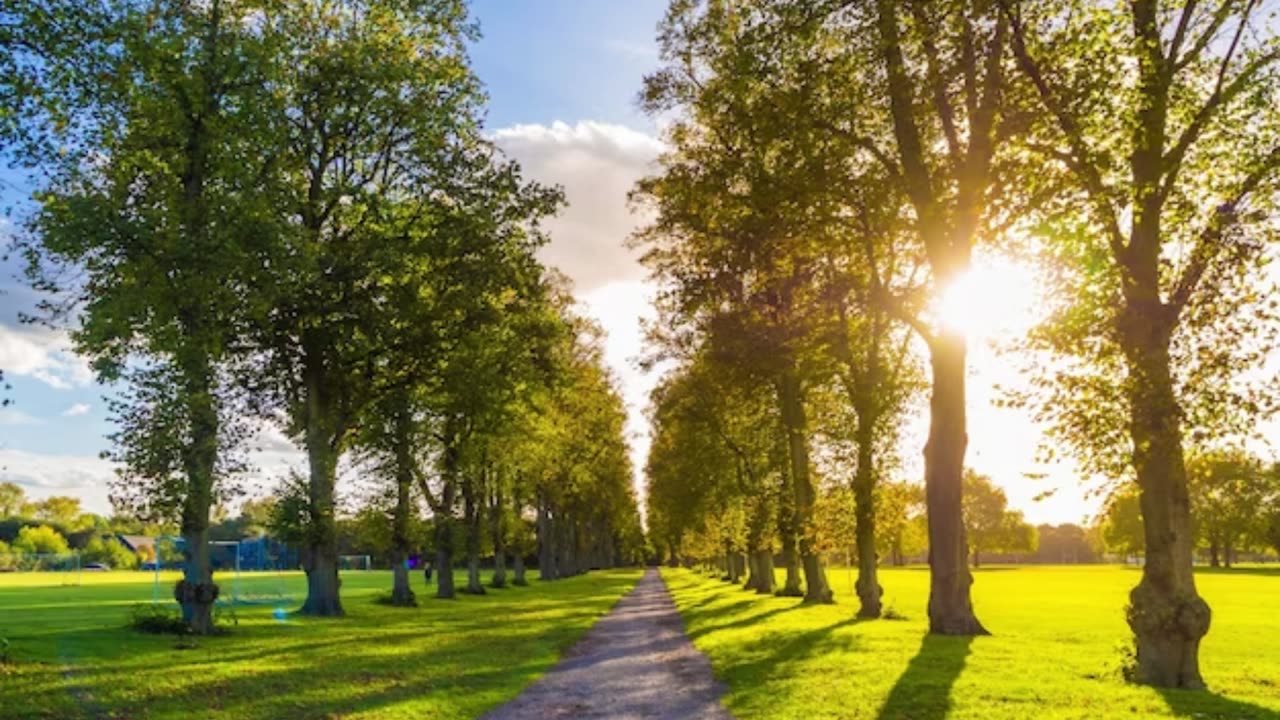 Music to relax and makes you more inspired to study