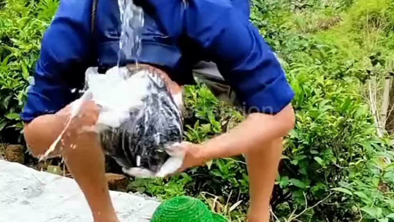 HELP YOURSELF 😁😁😁😁😁😁