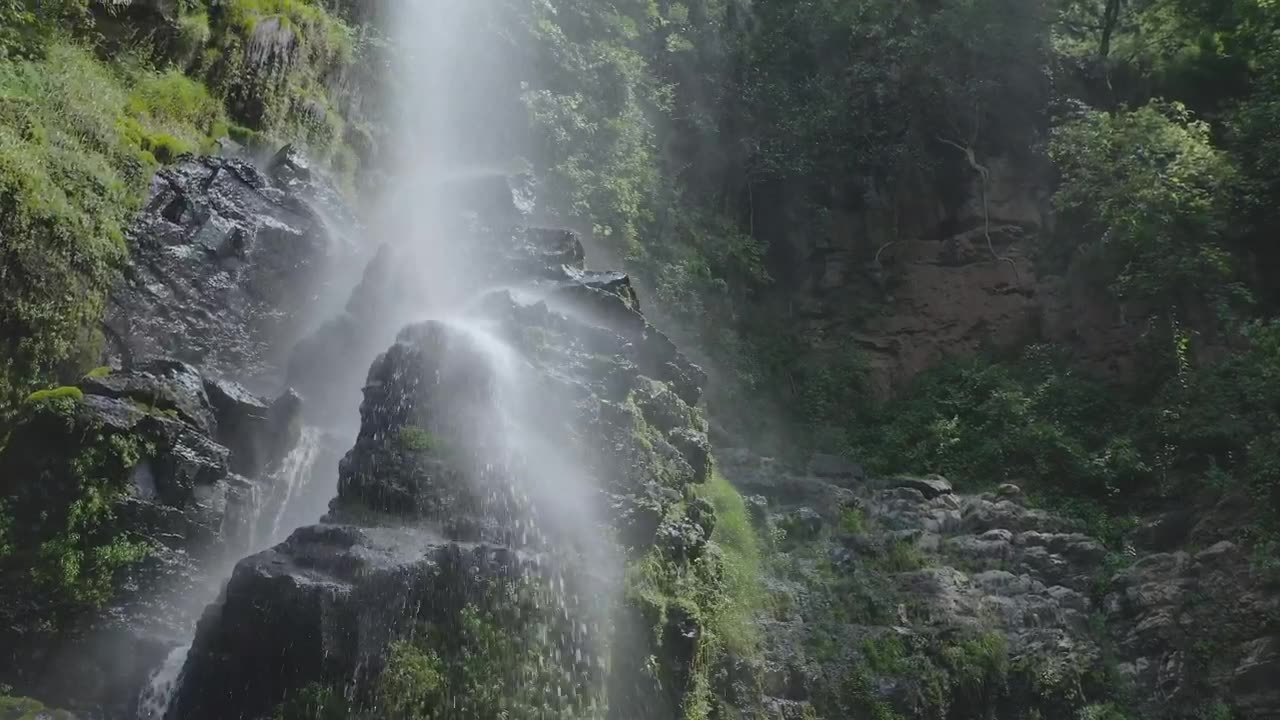 Waterfall in forest