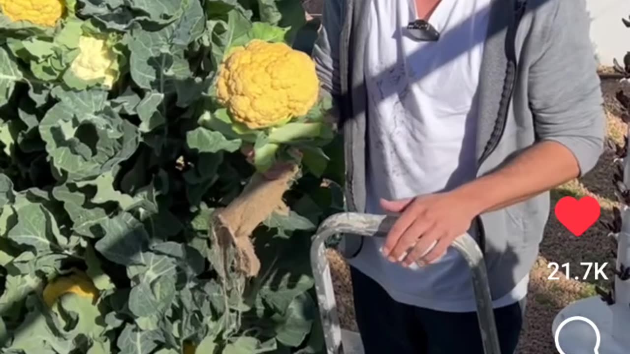 The Califlower Tower