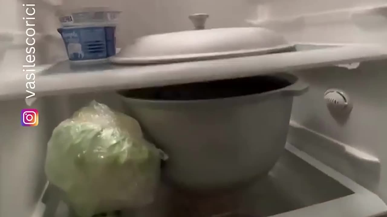 Funny Videos