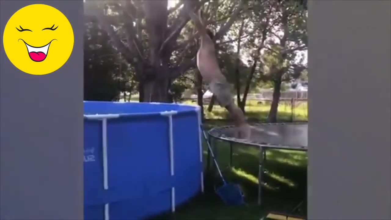 Best Funny Video 😁 | Try Not To Laugh