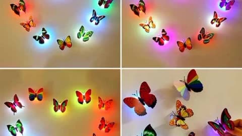 Beautiful butterfly