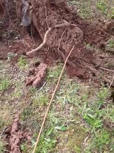 When it rains it pours