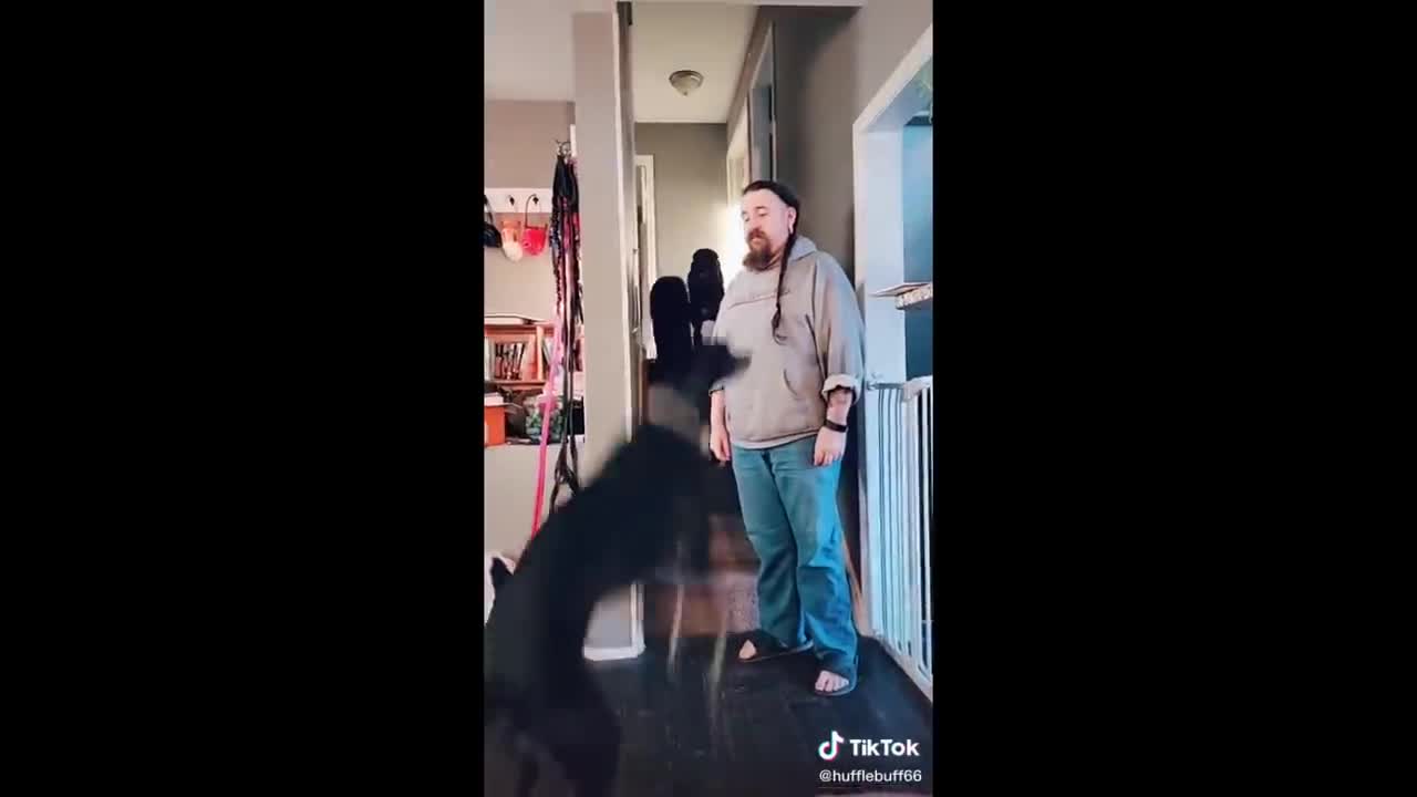 Funny Animals are back🤣👌.More Funny Animal Videos.😂