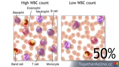 A Nurse Explains What These Clot Shots Are Doing To The Immune System