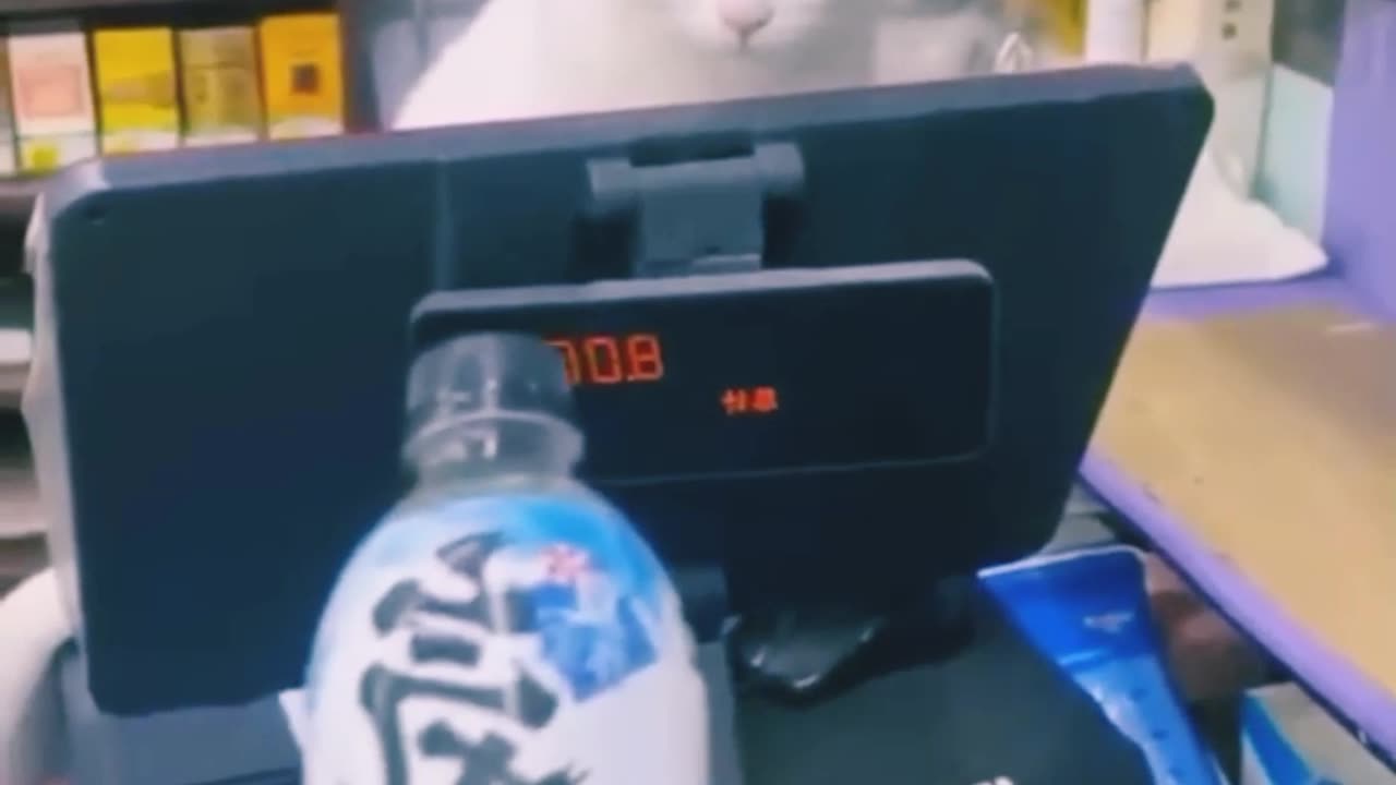 Funny funny 2023