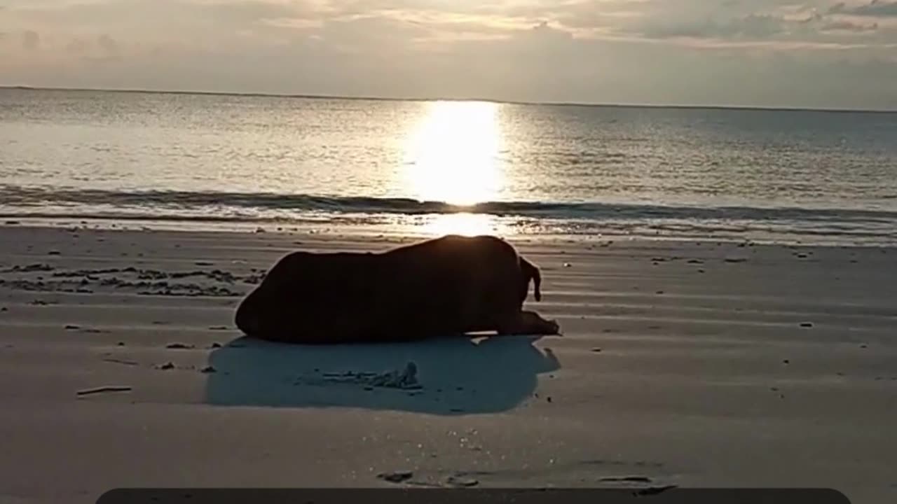Only thing on earth that you love