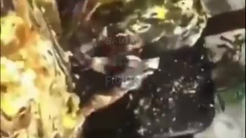 This Kid's Family Is Horrible