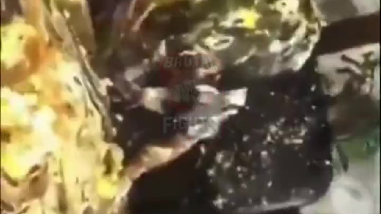 This Kid's Family Is Horrible