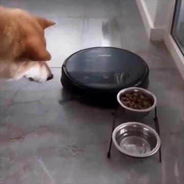 Not cool robot. Not cool