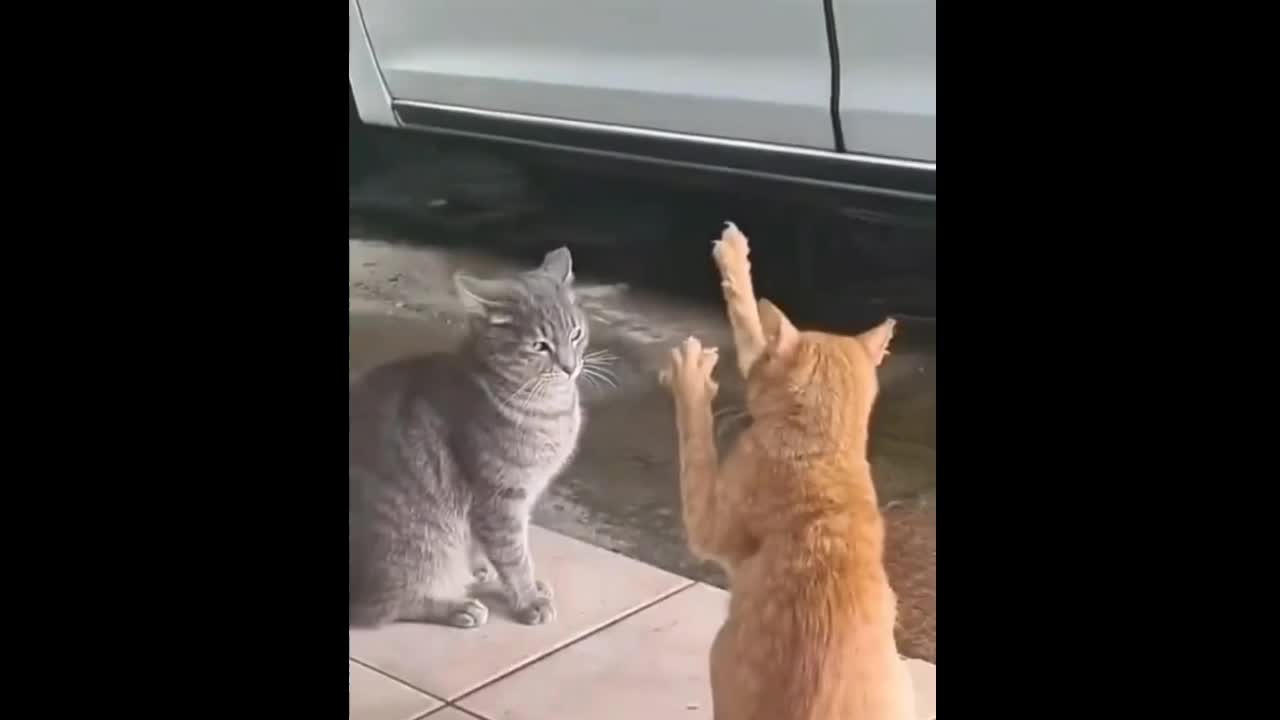 Inner power