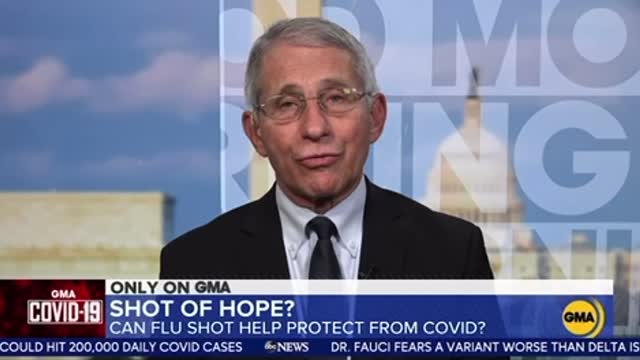 Flip Flop Fauci Unintelligible Word Salad