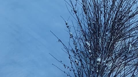 Oh no it’s snow 😥